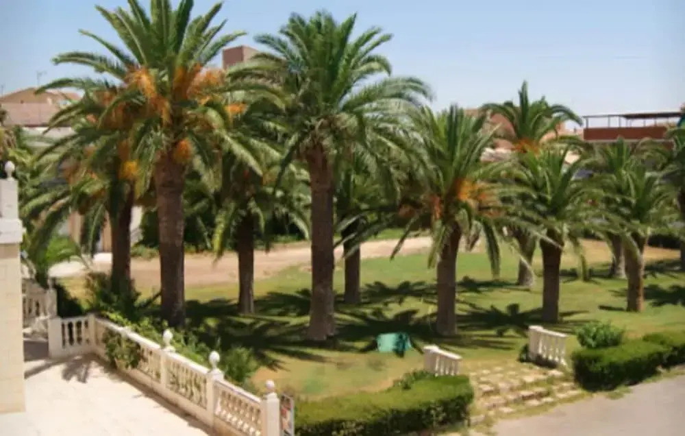 Hotel Las Navas