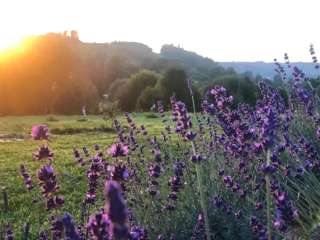 The View House Rabka-Zdrój WELLNESS & SPA