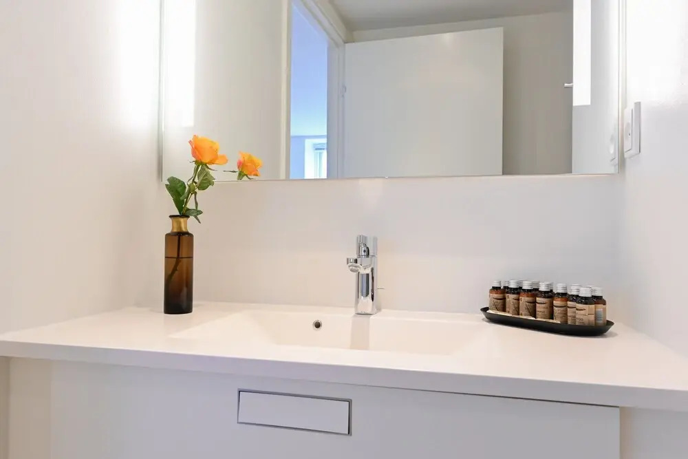 Beautiful 1 -bedroom Apartment in the Building From 1734 in Heart of Copenhagen