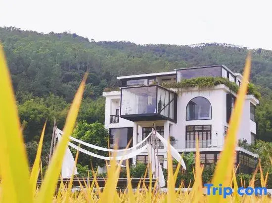Wanruo Guli Daotianli Hostel