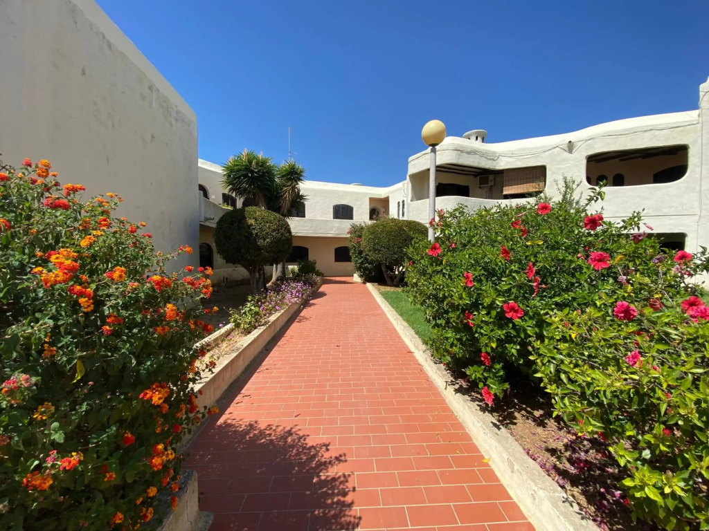Peaceful & Spacious Apt with Parking & Queen Bed