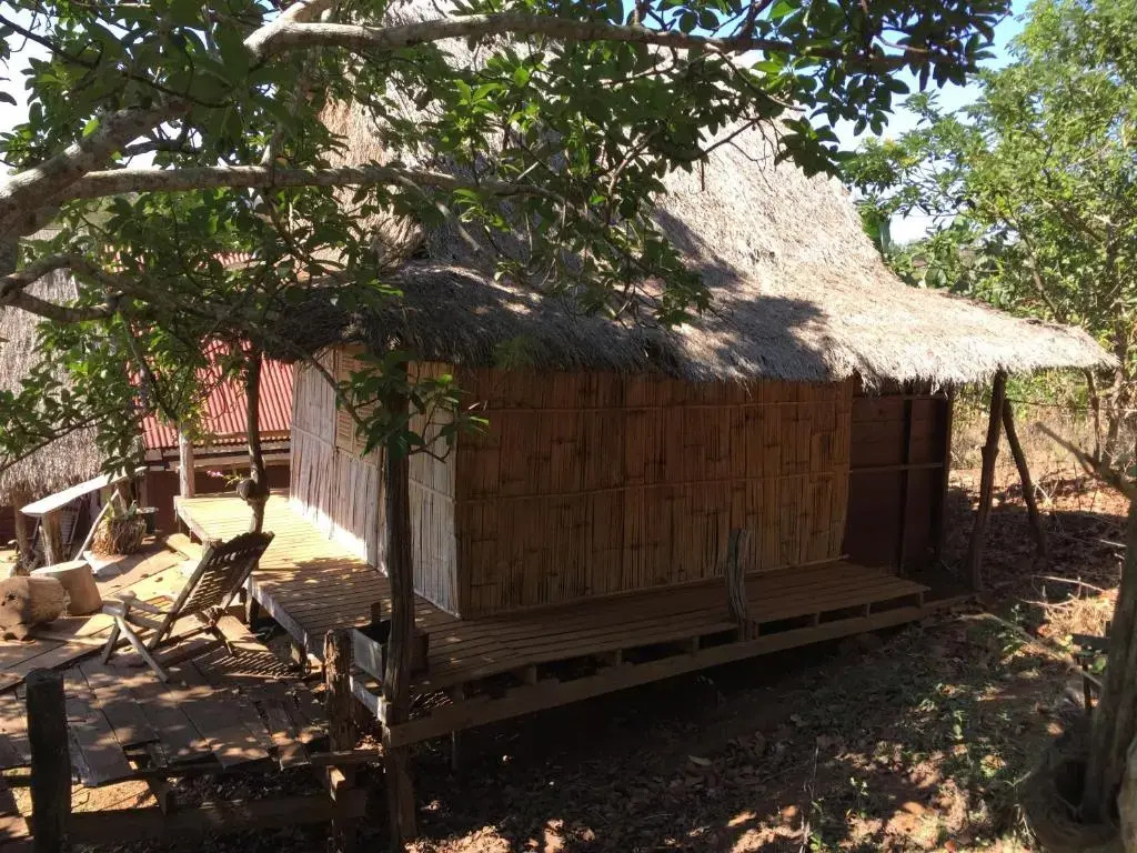 Tree Lodge