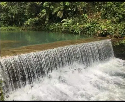 Arasha Resort & SPA