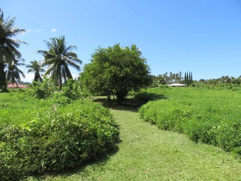 Taharuu Surf Lodge