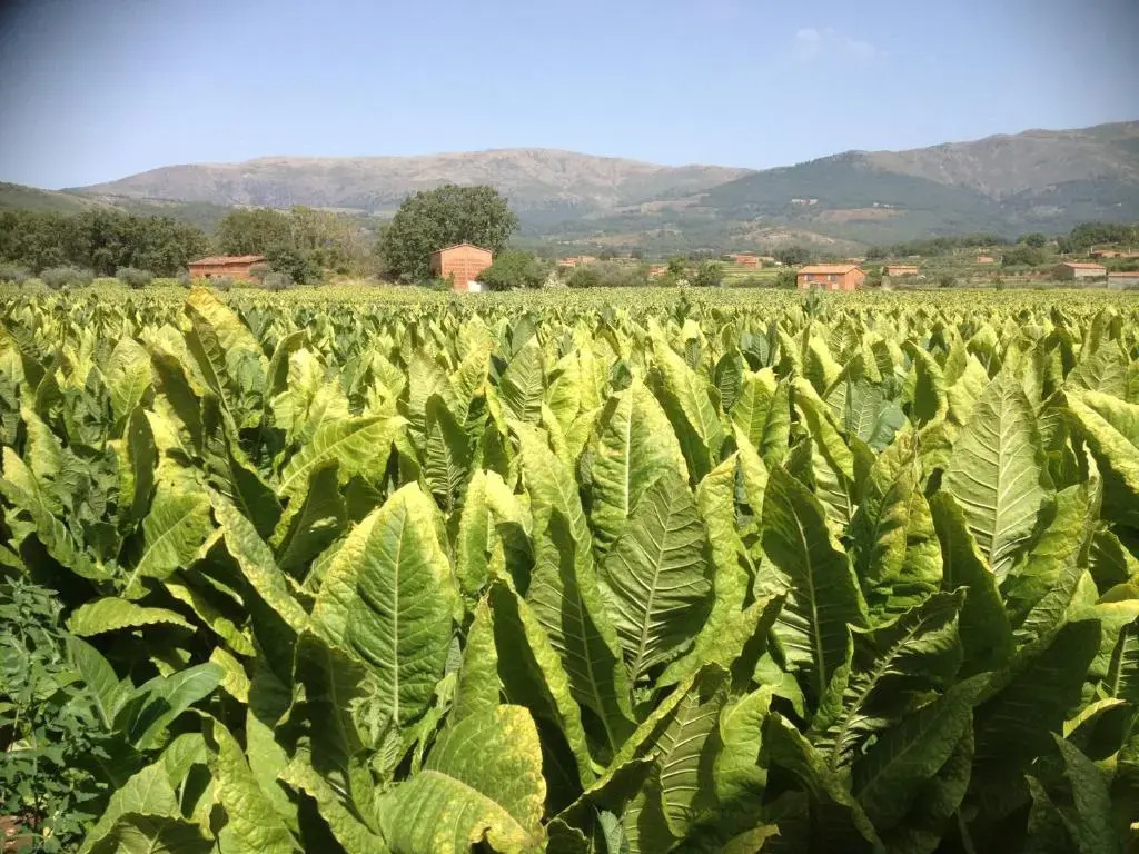 Hotel Rural Robles