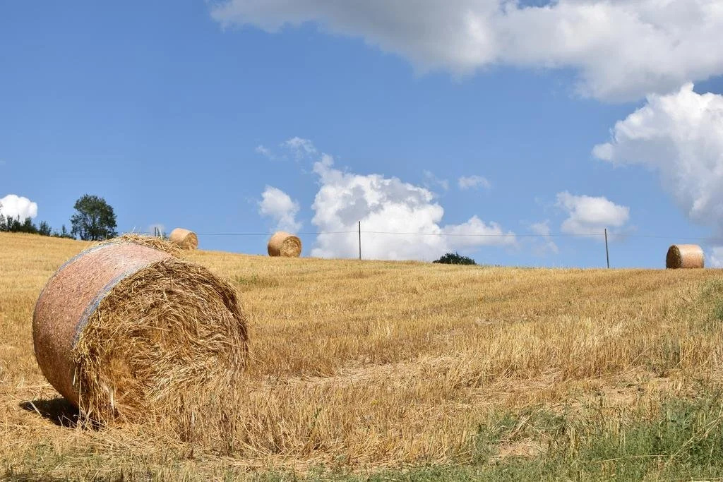 Agriturismo Collina Dei Fagiani