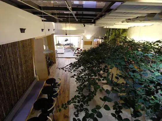 DaLi LOFT Travelling With Hostel
