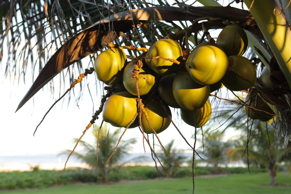 Serrambi Resort