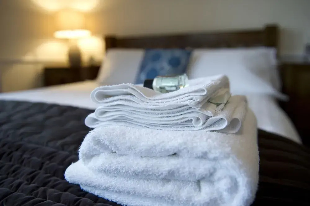 Springfield guest house