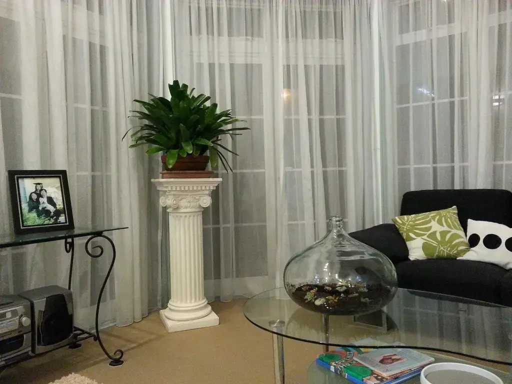 Lush & Co Auckland Bed & Breakfast