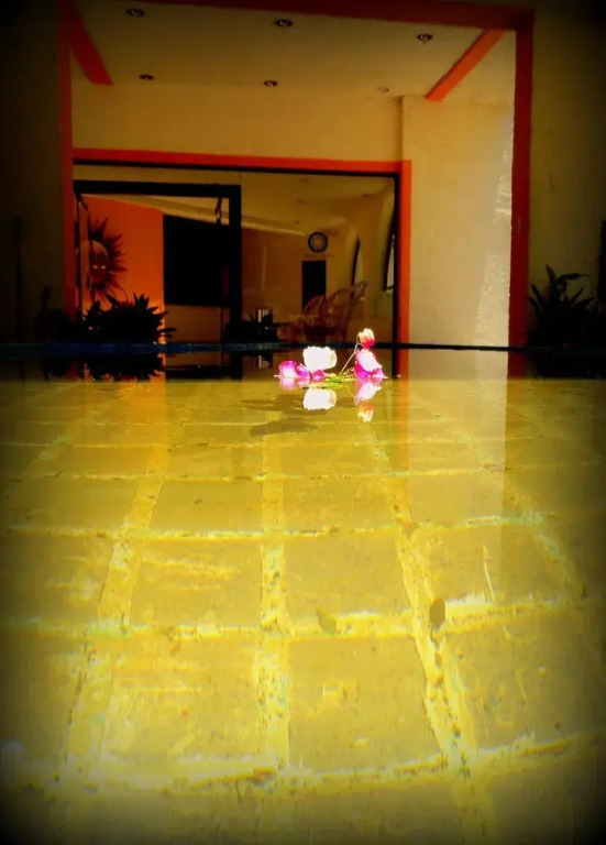 Piedras De Sol Solaris