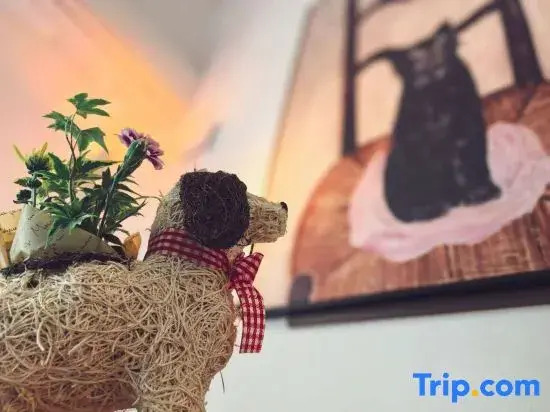 Mossy nest, 7 mins walk to JR station, near Ueno, great for couples honeymoon, girlfriends trip