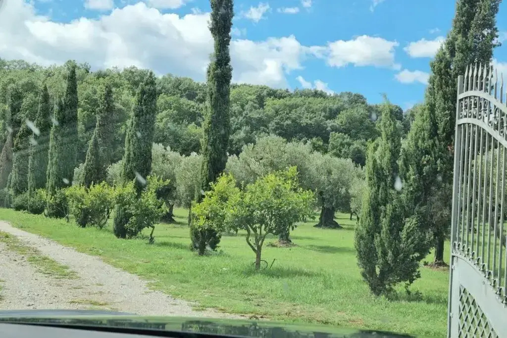 Villa in 8 Ettari di Campagna, a 20' Dal Mare