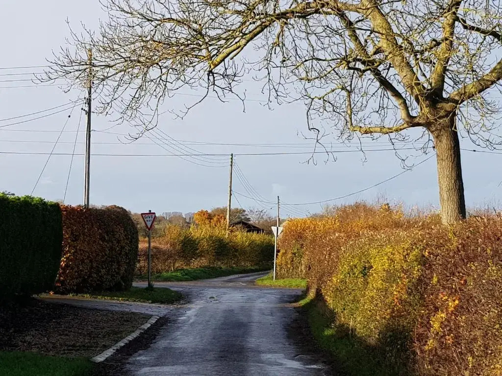 Rosehip Cottage