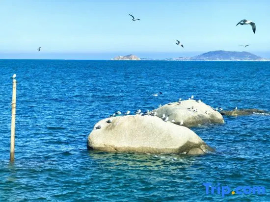 Chuyue retro light luxury space first-line sea view vacation arts