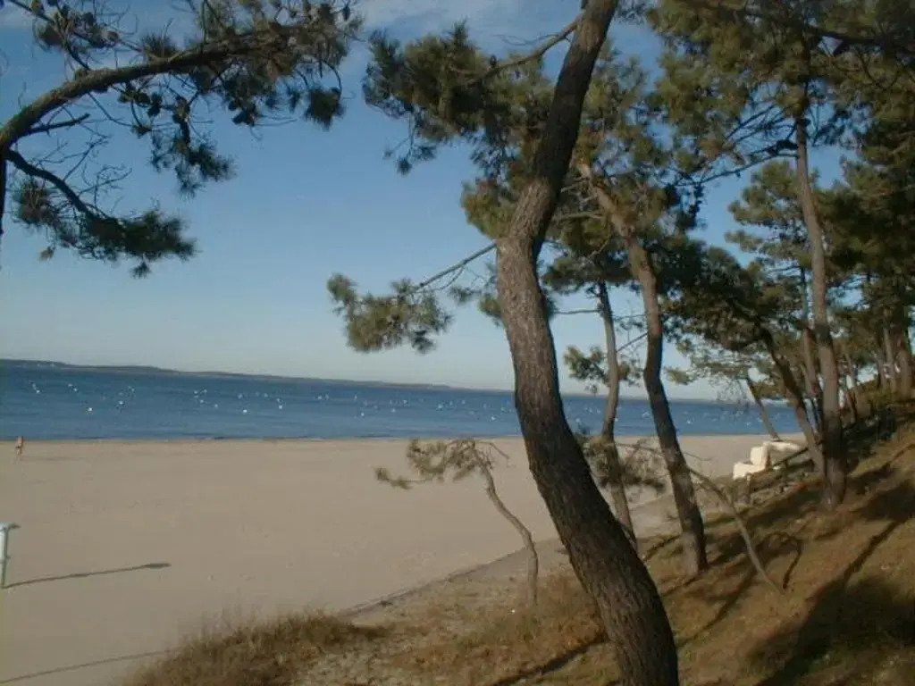 Appartement Arcachon, 1 pièce, 2 personnes - FR-1-374-104