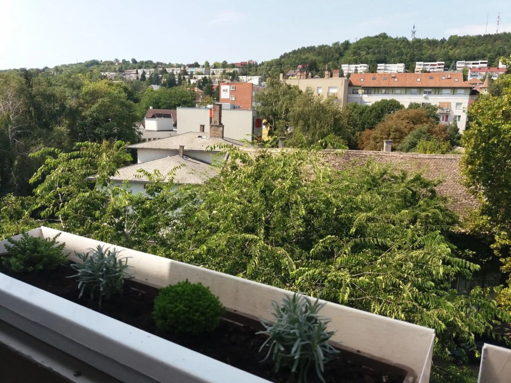Málnás Macska Apartman