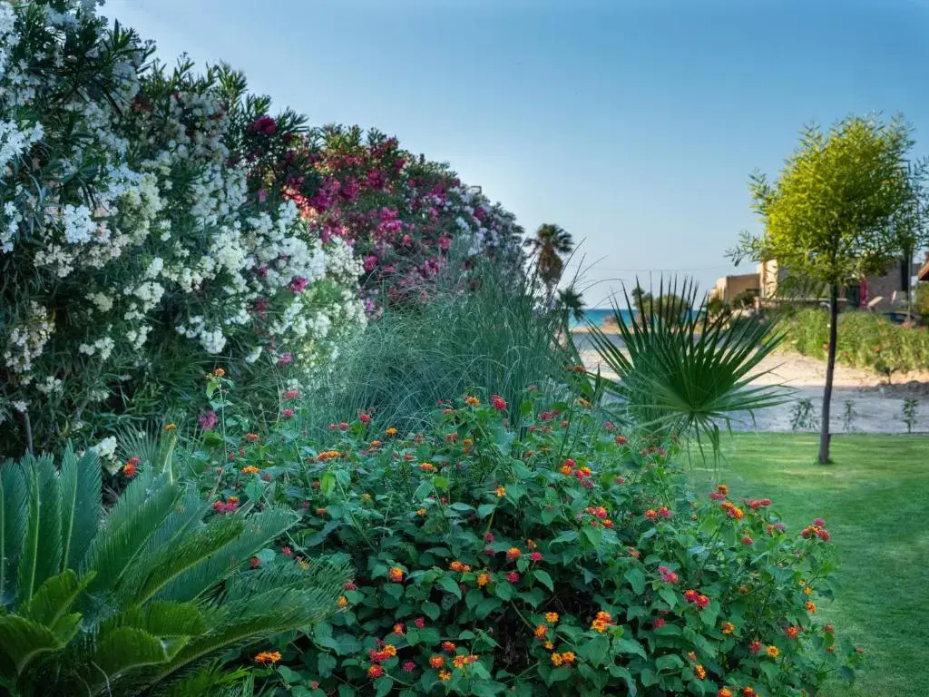 Evdokia Beach Resort