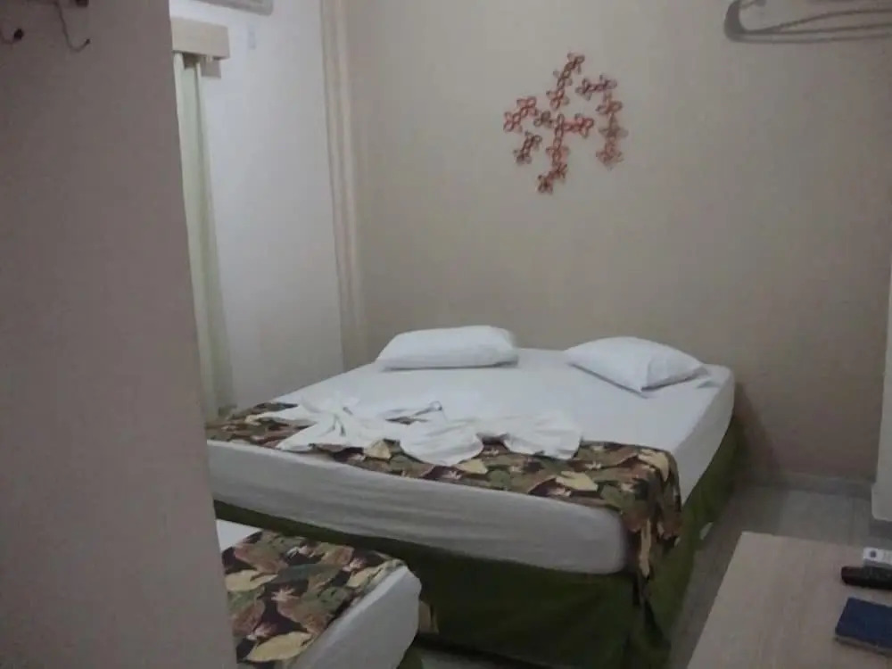 Hotel Alves