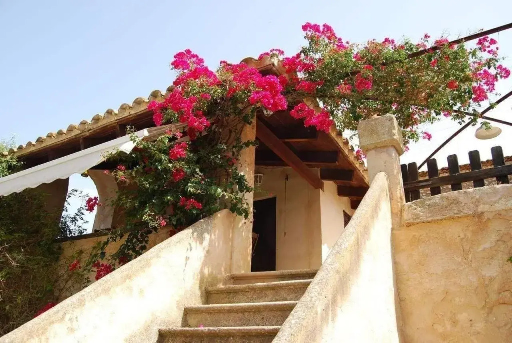 Finca Son Vivot