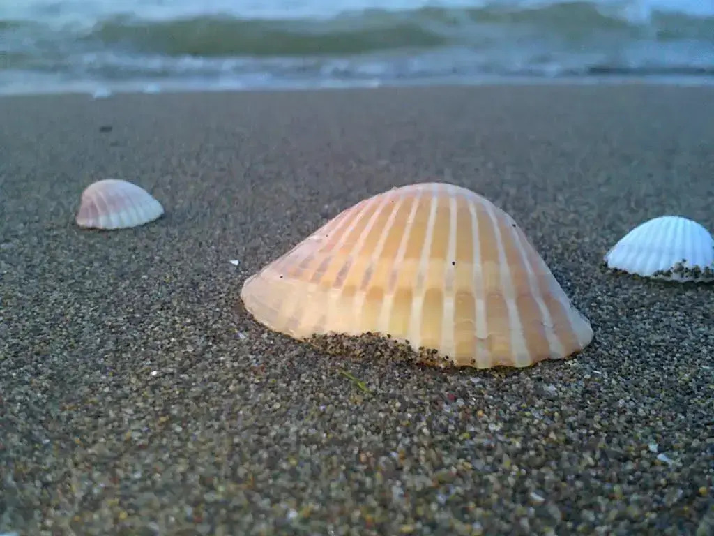 Mareazzurro