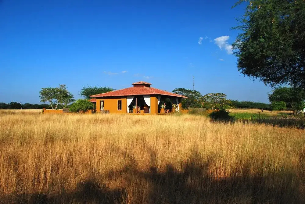 The Blackbuck Lodge
