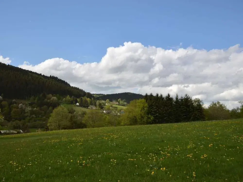 Comfy Apartment in Zendscheid near Forest