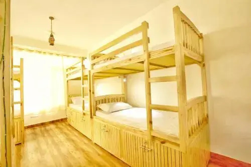 The Culture Nation Hostel Manali