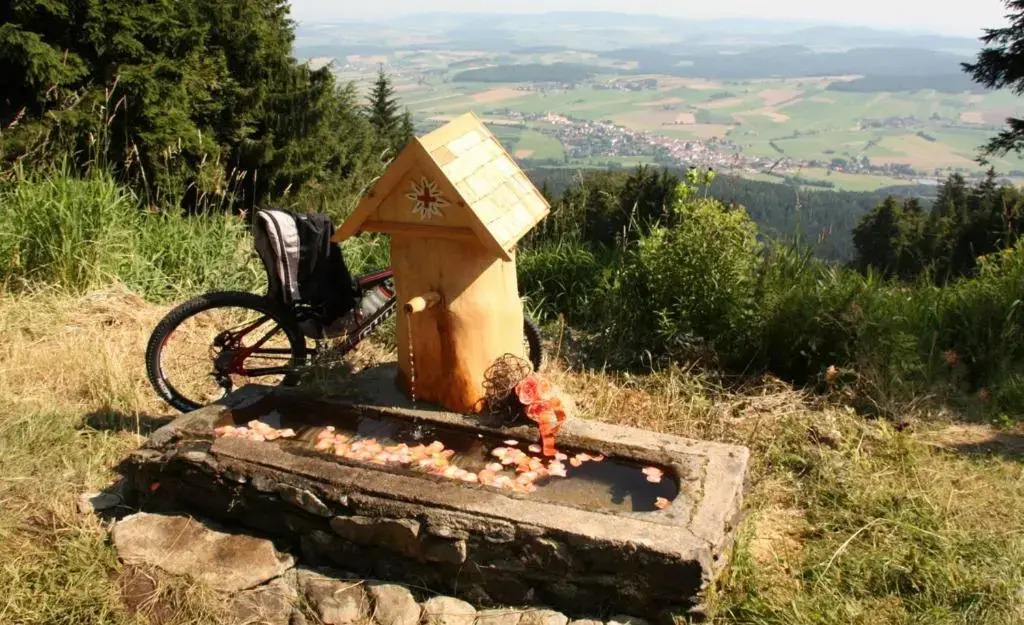 Appartementhaus Anita