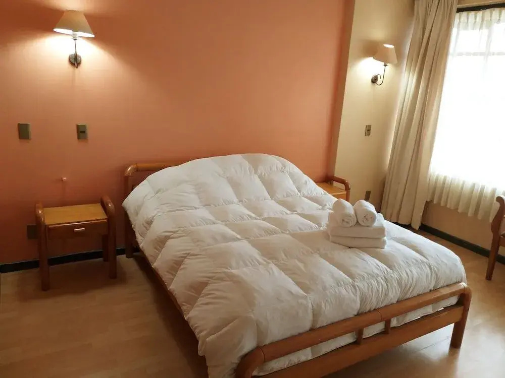 Hotel Boutique WenuPillan