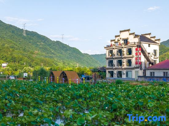 Lotus Origin · Wilderness Luxe Scenic Family Retreat (Ningguo Wannan  Highway Branch)