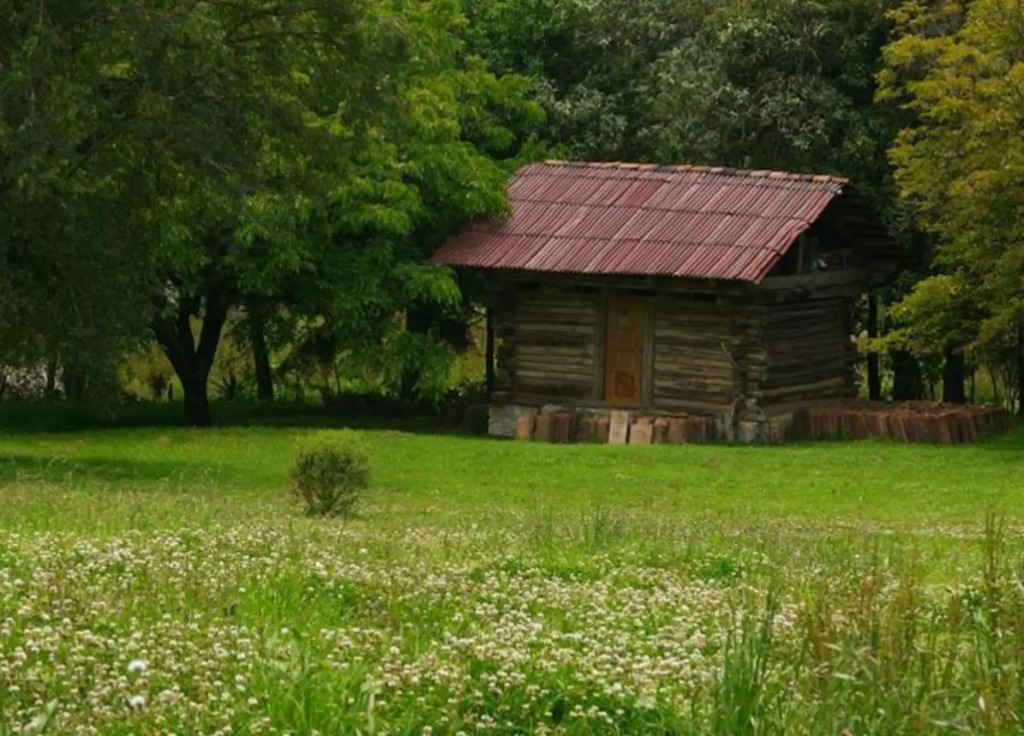 Cabañas La Tierra Grande