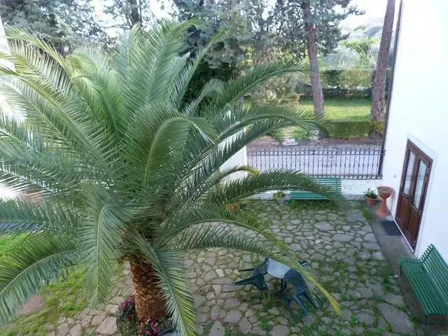 Agriturismo B&B La Sterpina