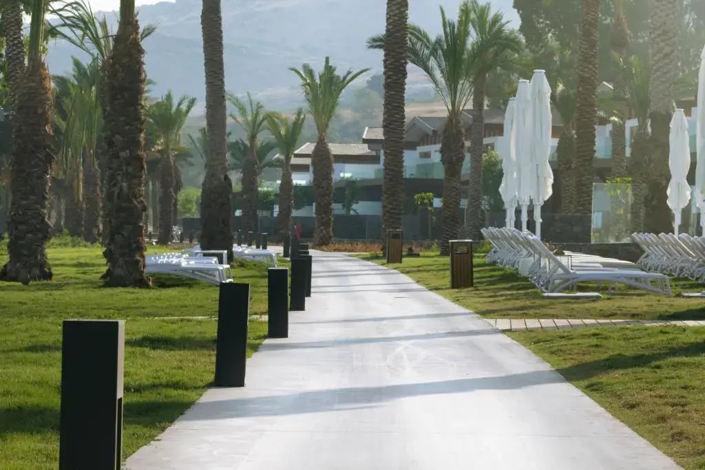 The Setai Sea of Galilee