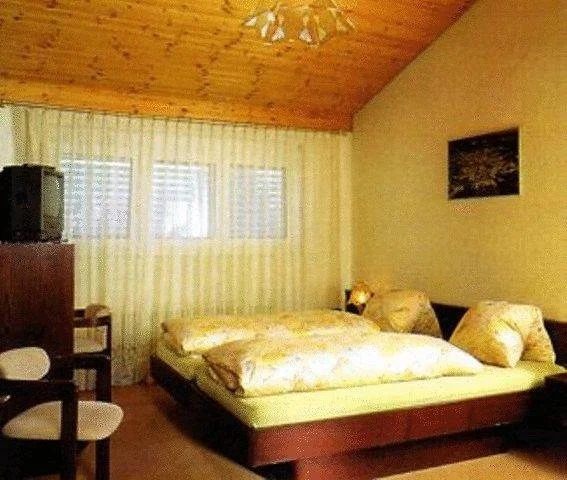 Hotel Arche