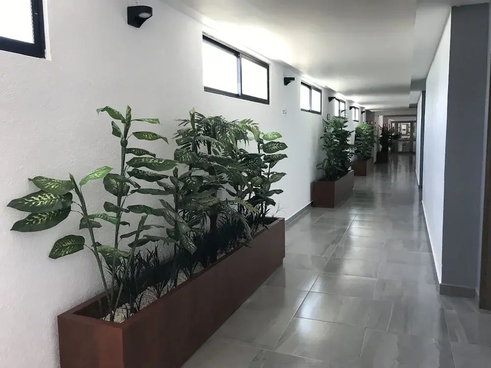 Hotel Boutique La Toja Campeche