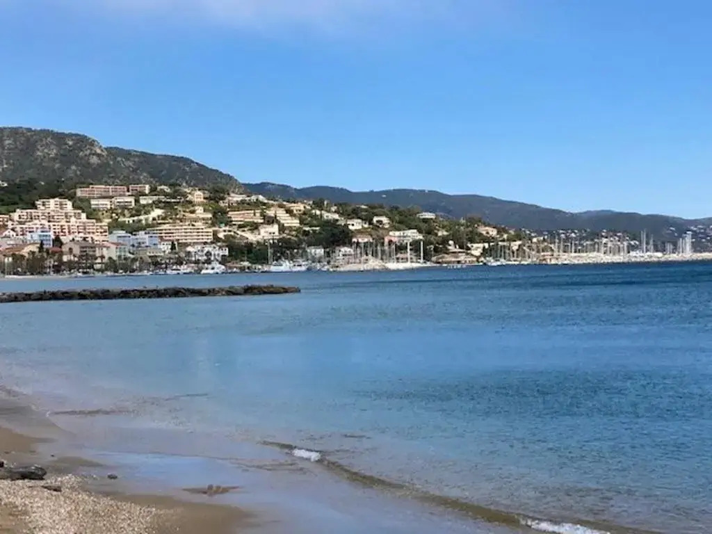 Appartement Le Lavandou, 2 pièces, 4 personnes - FR-1-308-123