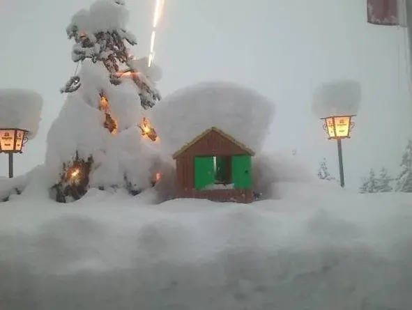 Gasthof Pension Berghof
