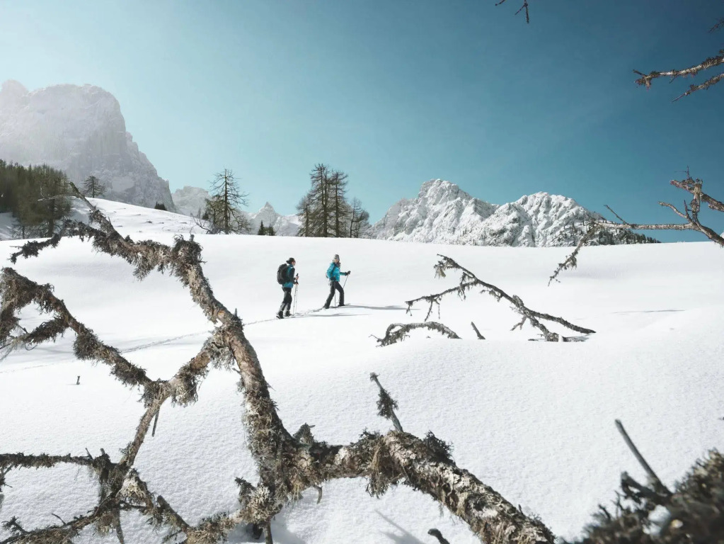 Alpinlodges Matrei