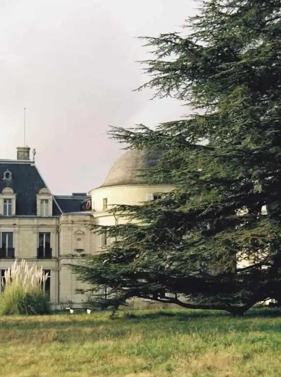 Château Royal de Benays - Hôtel