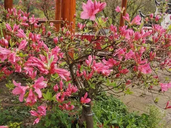 Tiantangzhai Laozhujia Farmhouse Inn
