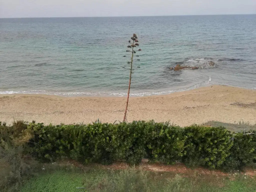 Villa Capitolo Holidays by maresolePUGLIA