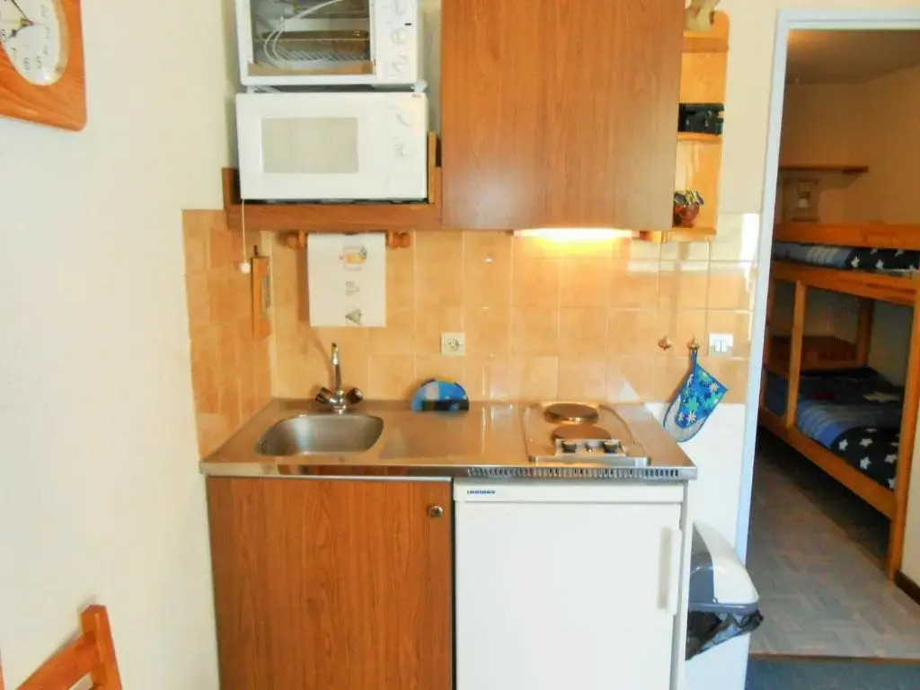 Appartement Les Deux Alpes, 1 pièce, 3 personnes - FR-1-516-105