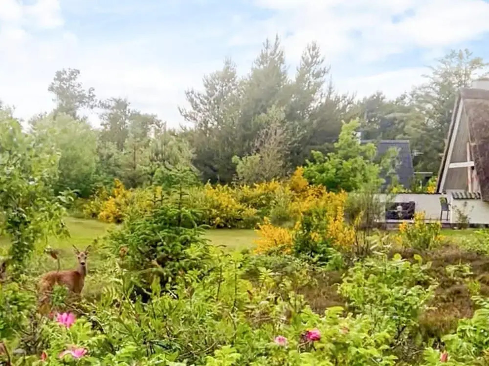 Lovely Holiday Home in Jutland near Sea