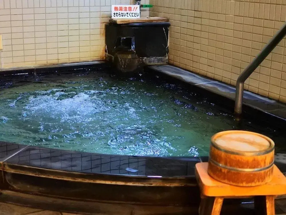Ryokan Fujiya