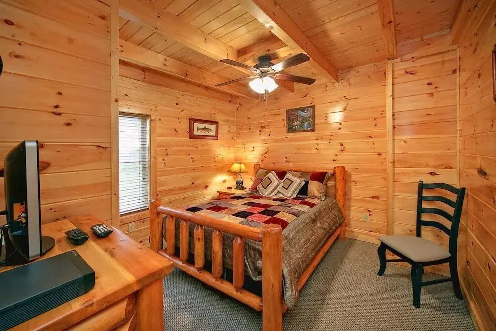 Beary Cozy