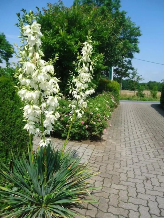 Das FRITZ Hotel Schwerin schöne Lage im Grünen mit regionaler Küche kostenfreien Parkplätzen und E Ladestation