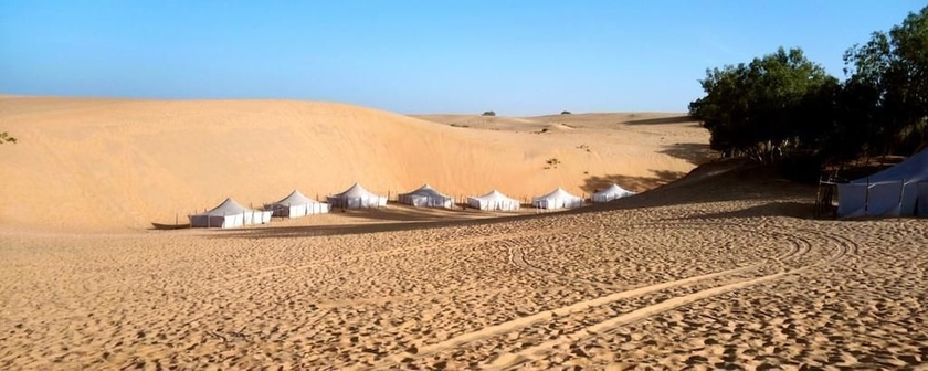 Oasis Du Désert