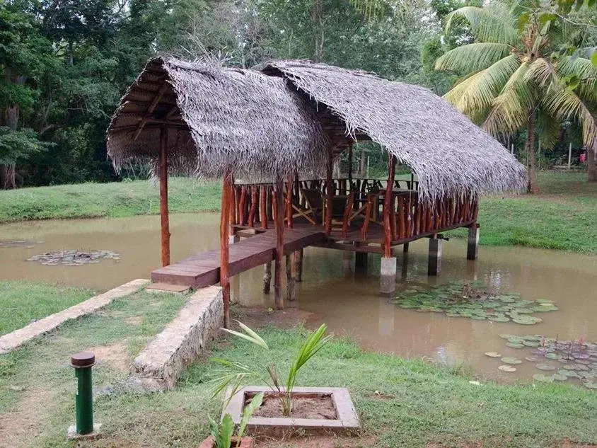 Elephant paradise Safari lodge