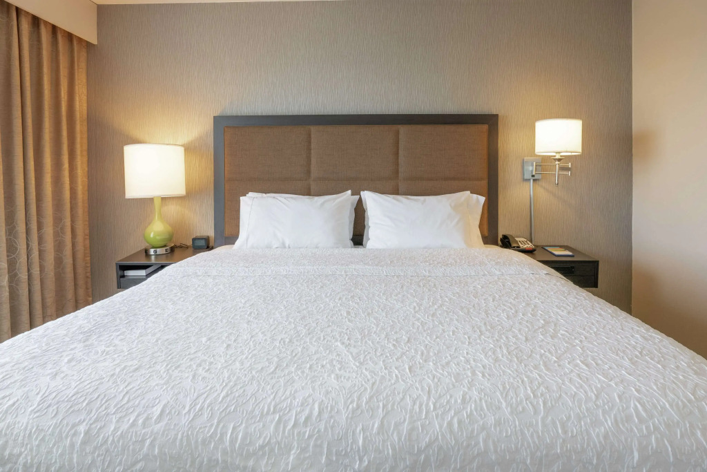 Hampton Inn and Suites Georgetown/Austin North, TX